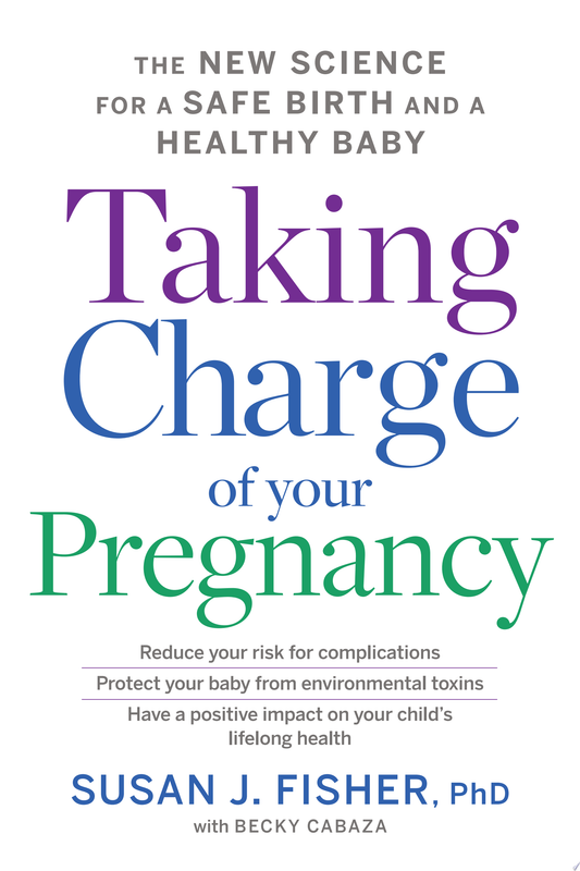 Taking Charge of your Pregnancy